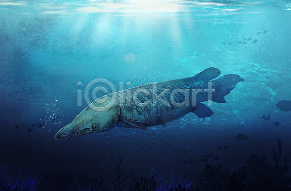 사람없음 PSD 일러스트 바다 바닷속 수중 수중동물 아쿠아리움 앨리게이터가아 파란색 한마리
