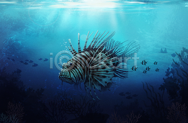 사람없음 PSD 일러스트 바다 바닷속 수중 수중동물 쏠배감펭 아쿠아리움 파란색 한마리