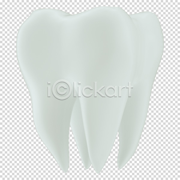 사람없음 3D PNG 디지털합성 편집이미지 3D소스 누끼 치아 치아모형 편집 편집소스 흰색