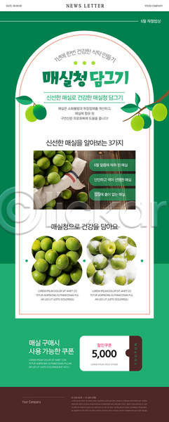 사람없음 PSD 뉴스레터 웹템플릿 6월 건강 나뭇가지 레시피 매실 매실청 제철음식 초록색 할인쿠폰
