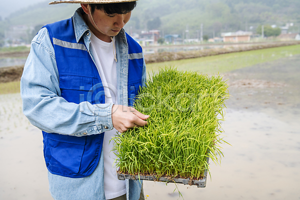 20대 남자 성인 성인남자한명만 한국인 한명 JPG 앞모습 포토 농부 농업 농촌 들기 만지기 모내기 상반신 야외 여주(지역) 주간 청년농부