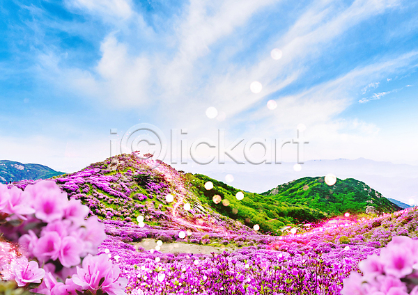 사람없음 PSD 편집이미지 구름(자연) 꽃 꽃밭 백그라운드 분홍색 빛 산 언덕 자연 철쭉 풍경(경치) 하늘