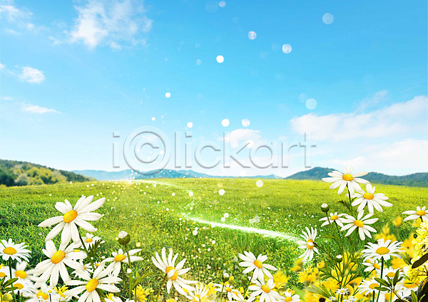 사람없음 PSD 편집이미지 구름(자연) 꽃 백그라운드 빛 산 자연 잔디 초원(자연) 풍경(경치) 하늘