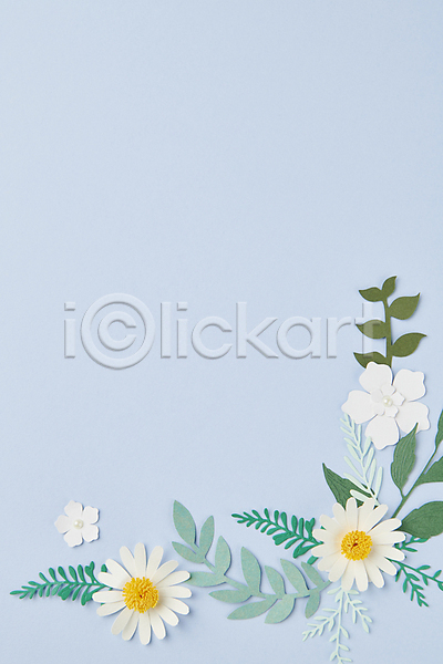 감성 사람없음 JPG 포토 꽃 꽃백그라운드 백그라운드 스튜디오촬영 잎 종이 카피스페이스 페이퍼아트 하늘색