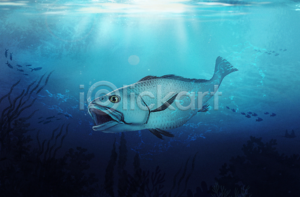 사람없음 PSD 일러스트 민어 바다 바다동물 바닷속 수중 수중동물 입벌림 파란색 한마리