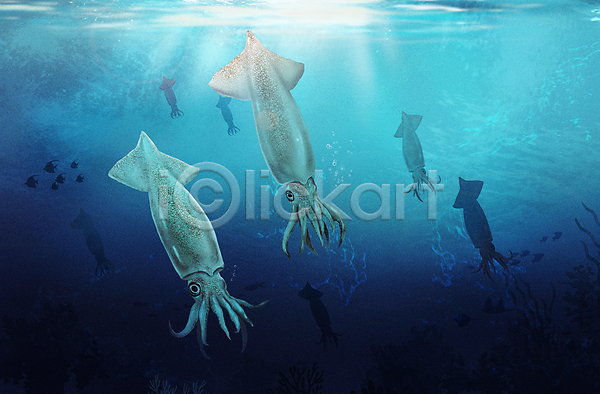 사람없음 PSD 실루엣 일러스트 바다 바다동물 바닷속 수중 수중동물 여러마리 연체동물 파란색 한치