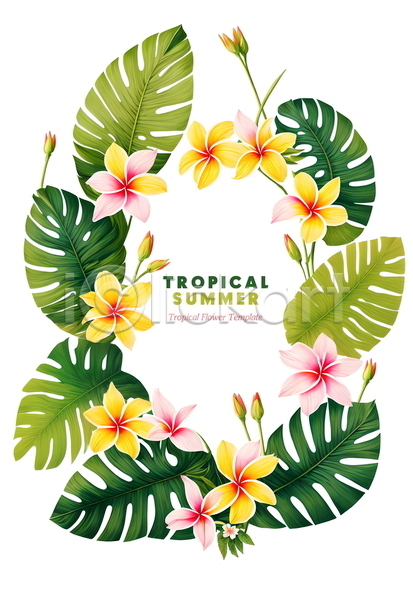 사람없음 PSD 템플릿 꽃 나뭇잎 몬스테라 여름(계절) 열대식물 원형 트로피컬아트 포스터 포스터템플릿 프레임