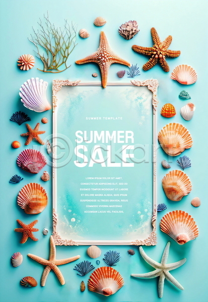 사람없음 PSD 템플릿 불가사리 사각형 세일 액자 여름(계절) 조개껍데기 포스터 포스터템플릿 프레임 하늘색 해초
