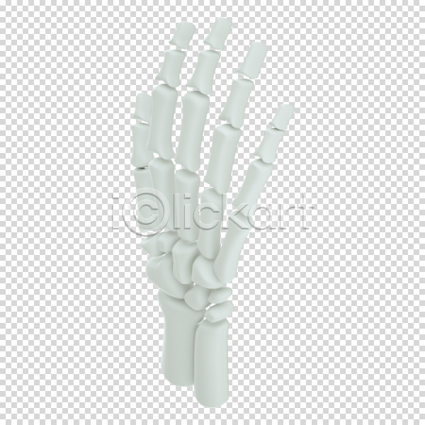 사람없음 3D PNG 디지털합성 편집이미지 3D소스 누끼 뼈 손 손가락뼈 편집 편집소스 흰색