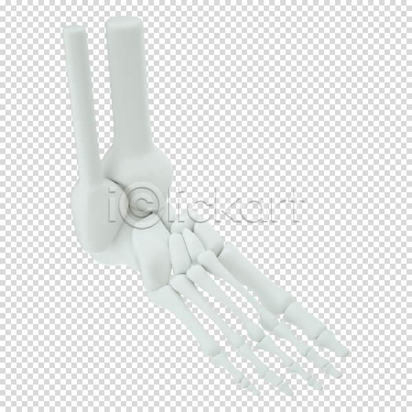 사람없음 3D PNG 디지털합성 편집이미지 3D소스 누끼 발뼈 뼈 편집 편집소스 흰색