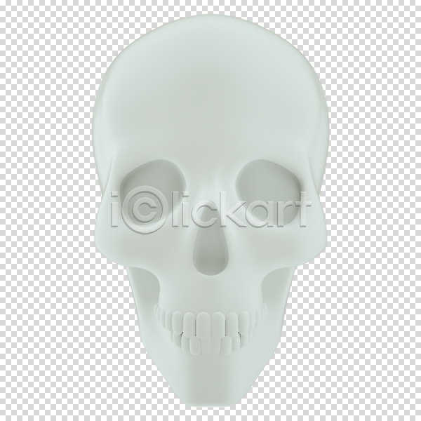 사람없음 3D PNG 디지털합성 편집이미지 3D소스 누끼 뼈 편집 편집소스 해골 흰색