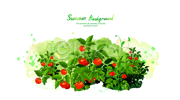 사람없음 PSD 일러스트 방울토마토 백그라운드 붓터치 수채화(물감) 여름(계절) 초록색 토마토 풀잎