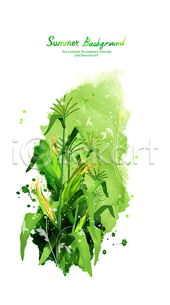사람없음 PSD 일러스트 백그라운드 붓터치 수채화(물감) 여름(계절) 옥수수 초록색 풀잎