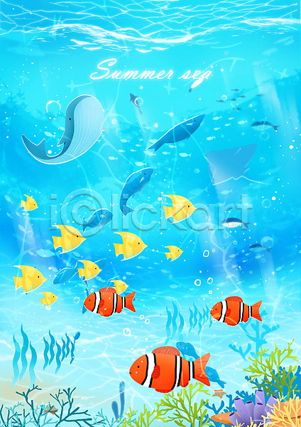 사람없음 PSD 일러스트 가오리 고래 물거품 물결 바닷속 산호 수중식물 여름(계절) 열대어 하늘색 흰동가리