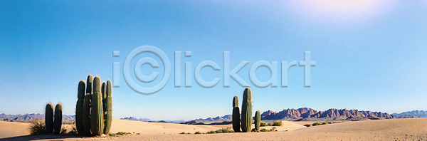 사람없음 JPG 포토 맑음 모래 백그라운드 사막 산 선인장 야외 와이드컷 주간 칠레 풍경(경치) 하늘