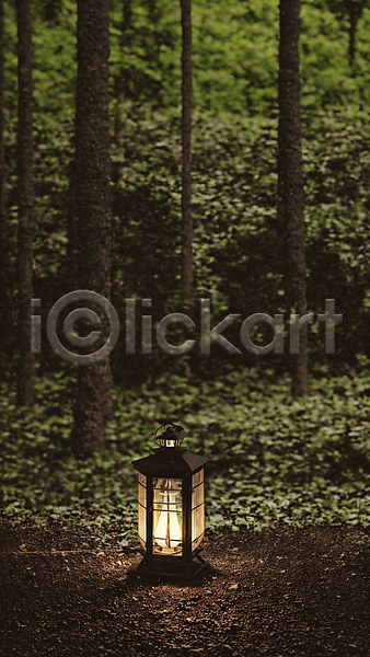 사람없음 JPG 포토 나무 랜턴 빛 숲 숲속 야외 주간