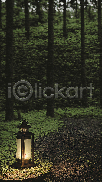 사람없음 JPG 포토 나무 땅바닥 랜턴 빛 숲 숲속 야외 주간