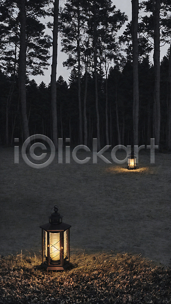사람없음 JPG 포토 나무 땅바닥 랜턴 빛 숲 숲속 야간 야외 잔디
