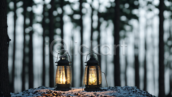 사람없음 JPG 아웃포커스 포토 겨울 눈(날씨) 랜턴 빛 숲 숲속 야외 주간