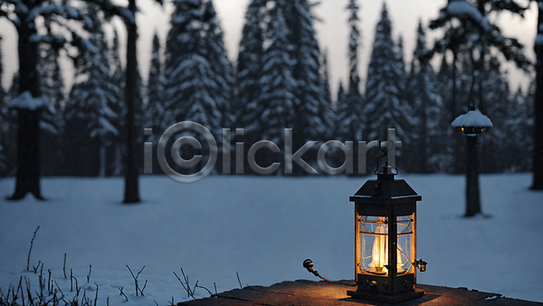 사람없음 JPG 포토 겨울 나무 눈(날씨) 랜턴 빛 숲 숲속 야간 야외