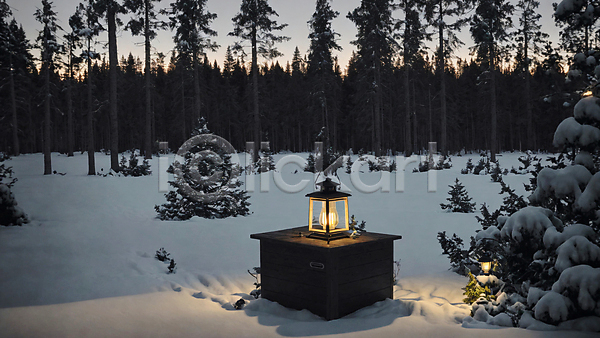 사람없음 JPG 포토 겨울 나무 눈(날씨) 랜턴 빛 숲 숲속 야간 야외 탁자