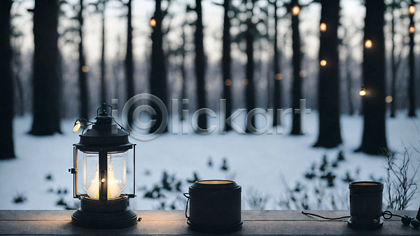 사람없음 JPG 아웃포커스 포토 겨울 나무 눈(날씨) 랜턴 빛 숲 숲속 야외 주간 탁자