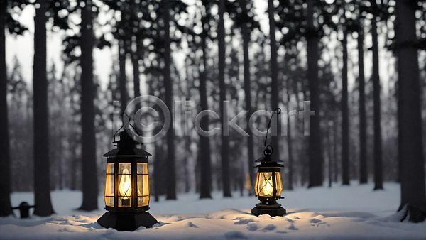사람없음 JPG 아웃포커스 포토 겨울 나무 눈(날씨) 땅바닥 랜턴 빛 숲 숲속 야외 주간