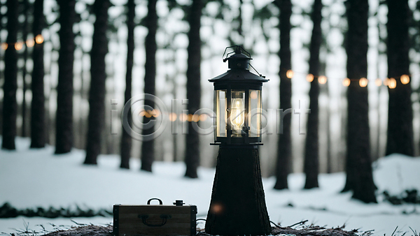 사람없음 JPG 아웃포커스 포토 겨울 나무 눈(날씨) 랜턴 빛 상자 숲 숲속 야외 주간