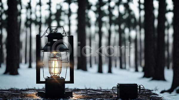 사람없음 JPG 아웃포커스 포토 겨울 나무 눈(날씨) 랜턴 빛 상자 숲 숲속 야외 주간