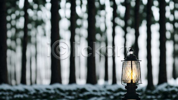 사람없음 JPG 아웃포커스 포토 겨울 눈(날씨) 랜턴 빛 숲 숲속 야외 주간