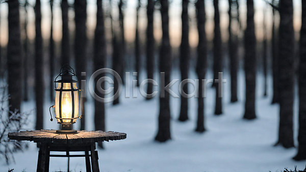 사람없음 JPG 아웃포커스 포토 겨울 나무 눈(날씨) 랜턴 빛 숲 숲속 야외 주간 탁자