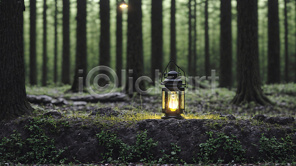 사람없음 JPG 아웃포커스 포토 나무 땅바닥 랜턴 빛 숲 숲속 야외 주간 풀(식물)