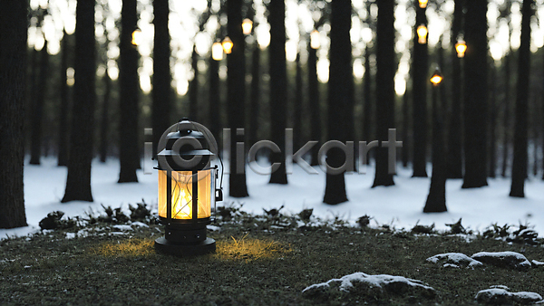 사람없음 JPG 아웃포커스 포토 겨울 나무 눈(날씨) 땅바닥 랜턴 빛 숲 숲속 야간 야외