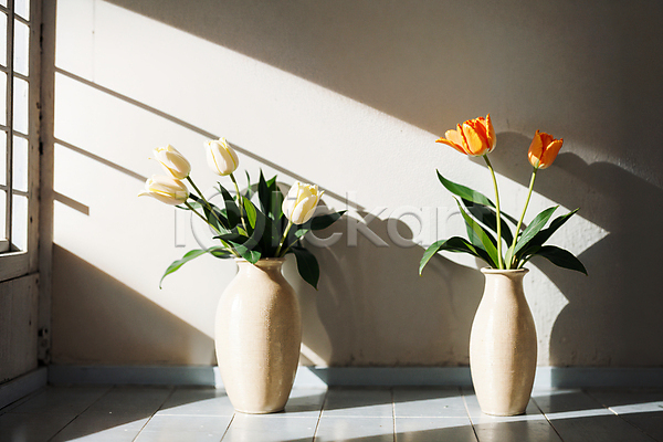 사람없음 JPG 포토 그림자 꽃병 빛 스튜디오촬영 실내 주황색 창가 튤립 흰색