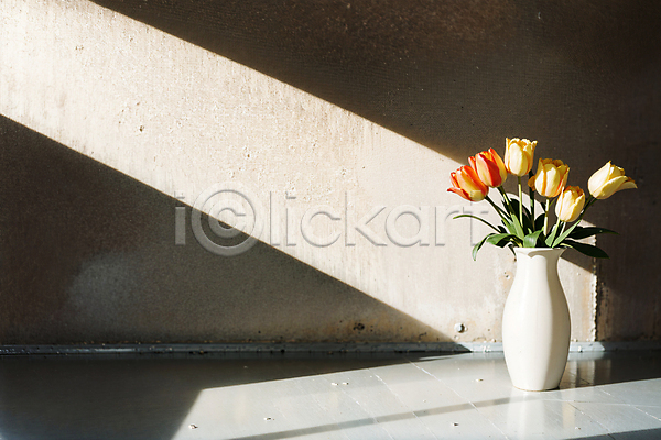 사람없음 JPG 포토 그림자 꽃병 벽 빛 스튜디오촬영 실내 연노랑색 주황색 튤립