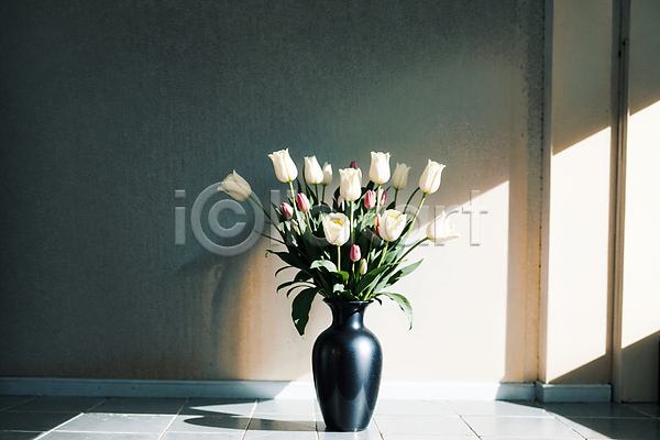 사람없음 JPG 포토 그림자 꽃병 벽 빛 스튜디오촬영 실내 튤립 흰색