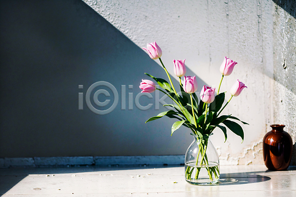 사람없음 JPG 포토 그림자 꽃병 벽 분홍색 빛 스튜디오촬영 실내 유리병 튤립