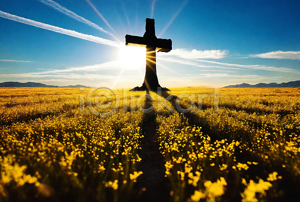 사람없음 JPG 디지털합성 실루엣 편집이미지 구름(자연) 기독교 꽃 빛 십자가 초원(자연) 편집소스 풍경(경치) 하늘