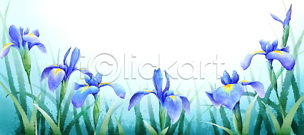 사람없음 PSD 일러스트 백그라운드 번짐 붓터치 손그림 수채화(물감) 여름(계절) 여름꽃 잎 자연 창포 창포꽃 카피스페이스 파란색