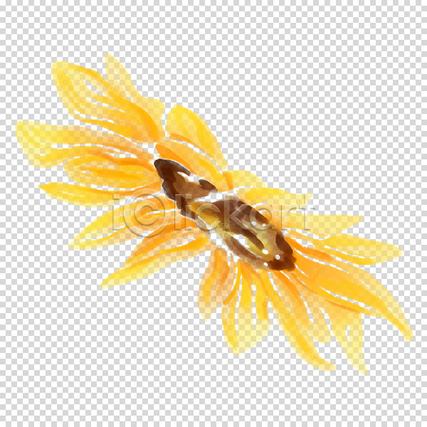 사람없음 PNG 편집이미지 노란색 누끼 손그림 수채화(물감) 여름(계절) 여름꽃 해바라기