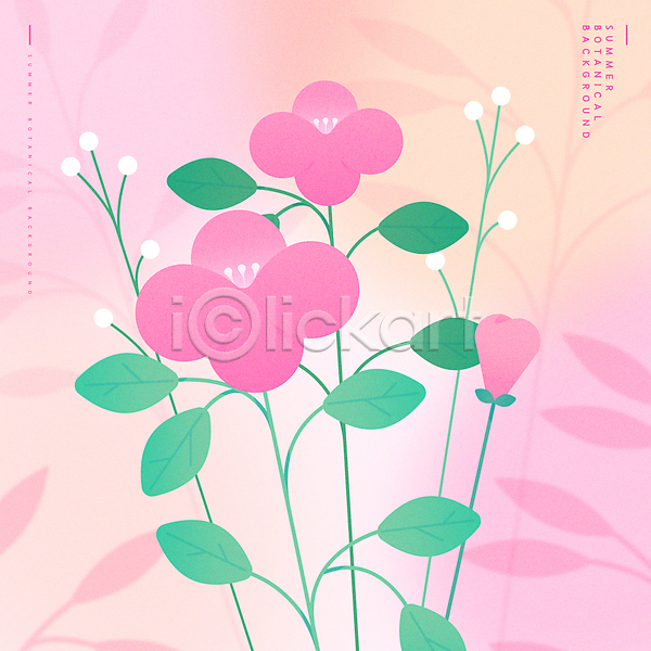 감성 분위기 사람없음 AI(파일형식) 일러스트 꽃 백그라운드 보테니컬아트 분홍색 여름(계절) 자연 풀잎