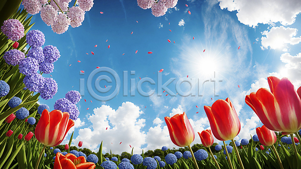 화려 사람없음 JPG 디지털합성 편집이미지 구름(자연) 꽃밭 꽃잎 백그라운드 수국 자연 태양 튤립 풍경(경치) 프레임 하늘