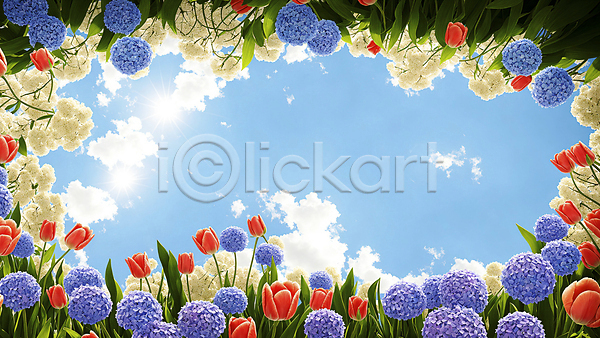 화려 사람없음 JPG 디지털합성 편집이미지 구름(자연) 꽃밭 백그라운드 수국 자연 태양 튤립 풍경(경치) 프레임 하늘 햇빛