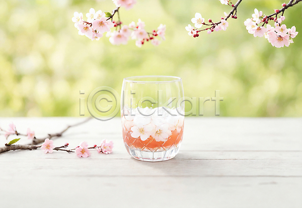 사람없음 JPG 아웃포커스 포토 꽃 나뭇가지 벚꽃 야외 오브젝트 잔 차(음료) 찻잔