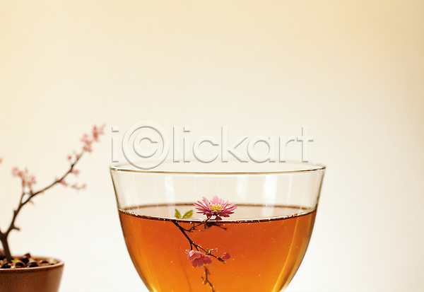 사람없음 JPG 아웃포커스 포토 꽃 오브젝트 잔 차(음료) 찻잔 화분