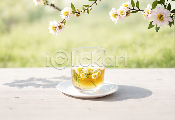 사람없음 JPG 아웃포커스 포토 그림자 꽃 나뭇가지 야외 오브젝트 잔 차(음료) 찻잔 컵받침