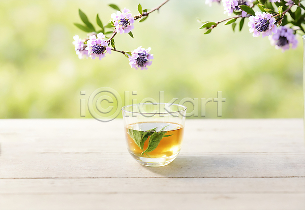 사람없음 JPG 아웃포커스 포토 꽃 나뭇가지 야외 오브젝트 잎 잔 차(음료) 찻잔