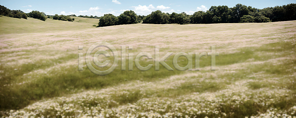사람없음 JPG 디지털합성 편집이미지 포토 구름(자연) 꽃밭 나무 맑음 와이드앵글 자연 주간 초원(자연) 편집소스 풍경(경치) 하늘
