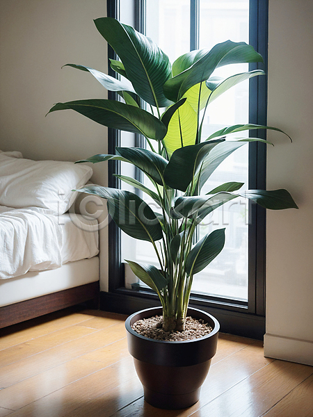 사람없음 JPG 디지털합성 편집이미지 식물 실내 원예 인테리어 창문 침대 침실 편집소스 플랜테리어 화분