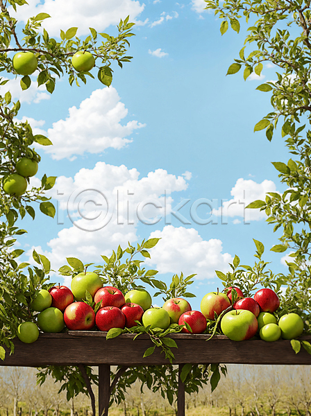 사람없음 JPG 편집이미지 구름(자연) 나무탁자 사과 사과나무 야외 잎 주간 풋사과 풍경(경치) 프레임 하늘